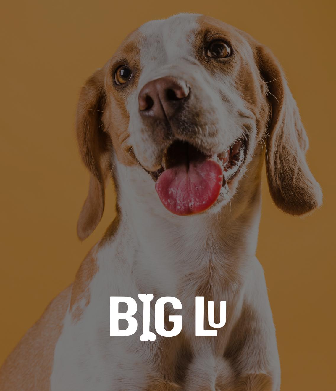 Big Lu