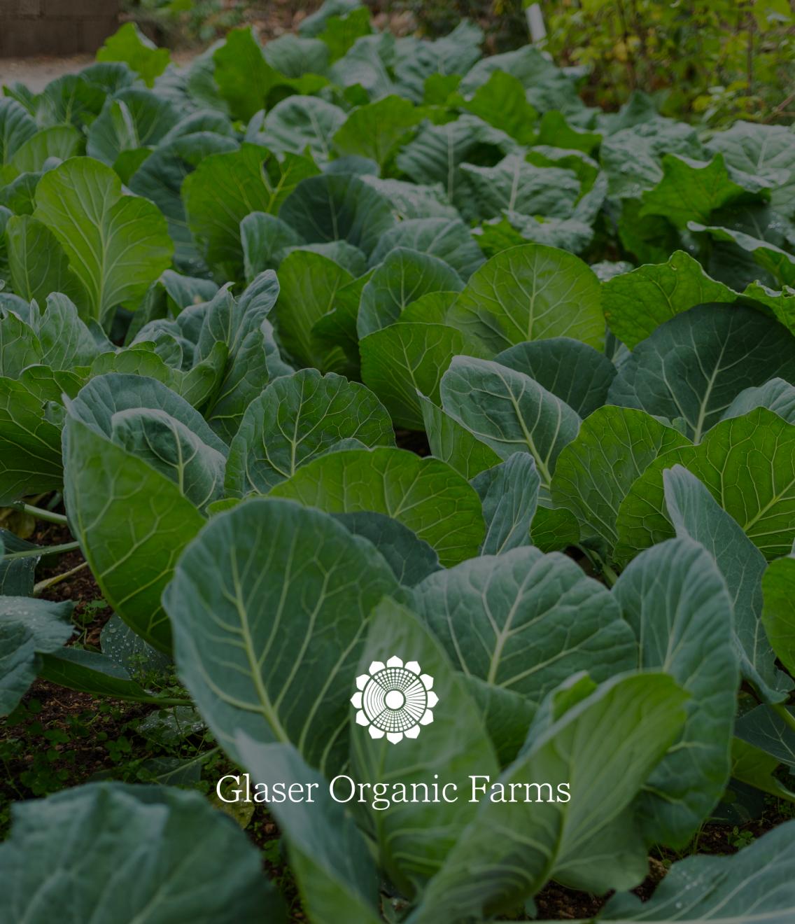 Glaser Organics Farms