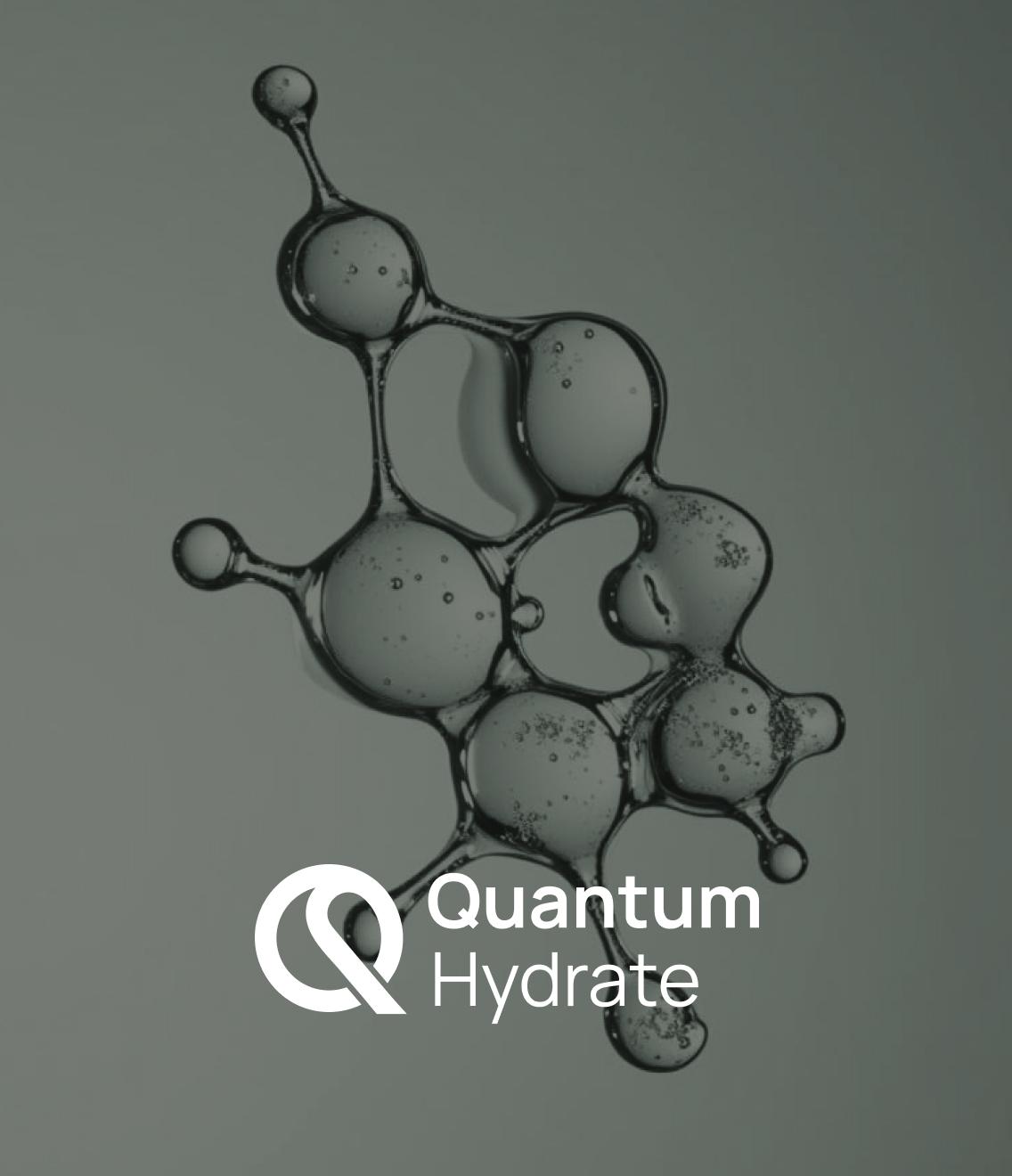 Quantum Hydrate